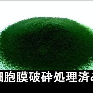 激安処分　石垣島産　ヤエヤマクロレラ　粉末10kg 