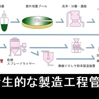激安処分　石垣島産　ヤエヤマクロレラ　粉末10kg 