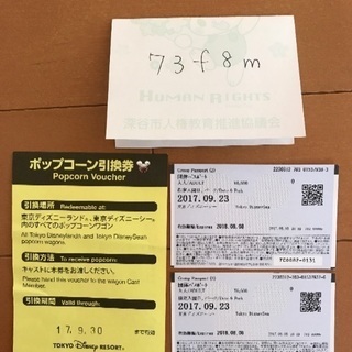 日付指定 9/23祝 東京ディズニーシー ペアパスポート