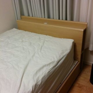 ニチエス ラウンジャー サンベッド 2段リクライニング ビーチベッド