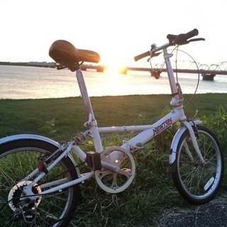 【専用】DAHON OEM RUNAULT AL140 Amazon | RENAULT(ルノー) LIGHT8 AL-FDB140 ブラウン 軽量