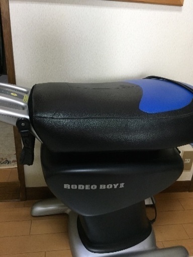 ロデオボーイ受付停止中
