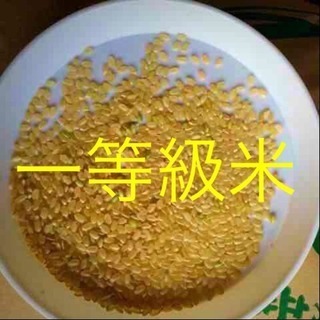 こしひかり30㎏ 玄米 こだわり栽培 愛媛県東温市
