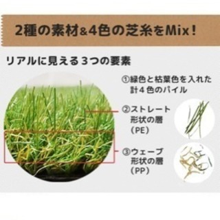 人工芝