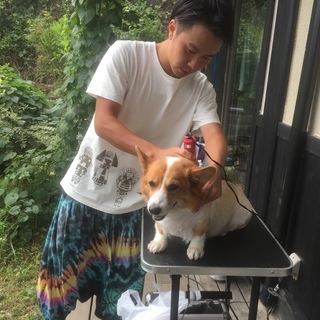 楽々!出張トリミング⭐️