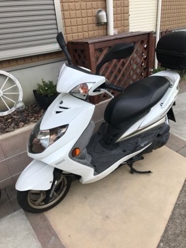 シグナス