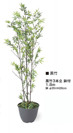 新品★40％OFF♫黒竹・180cm★人工観葉植物★送料無料