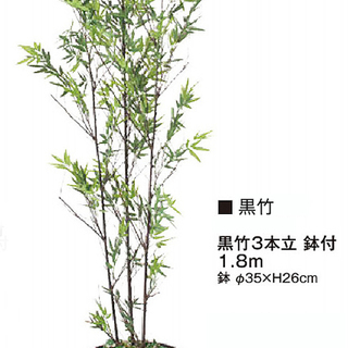 新品★40％OFF♫黒竹・180cm★人工観葉植物★送料無料