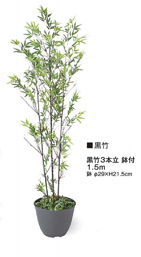 新品★40％OFF♫黒竹・150cm★人工観葉植物★送料無料