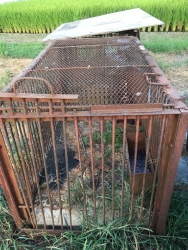 捕獲檻。 www.mondo-romania.ro