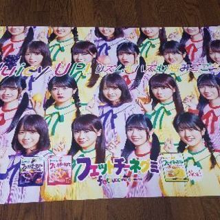 乃木坂46メンバー4人ブルボン・フィットチーネグミ非売品ポスター