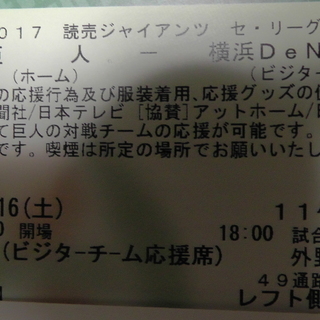 16日（土）東京ドーム レフトビジター席１枚 横浜ベイスターズ