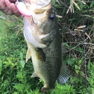 釣りのチーム立ち上げます − 宮城県