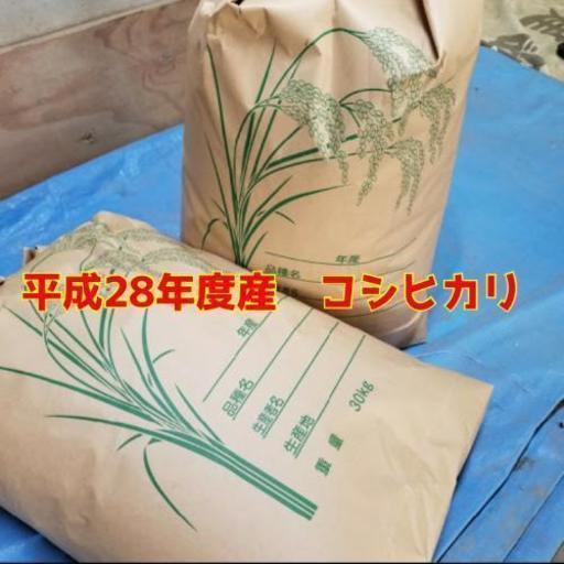 【現在お取り引き中】平成28年 茨城産コシヒカリ 30kg