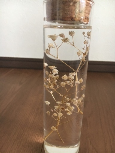 ドライフラワーをアレンジ ハーバリウム 植物図鑑 カスミソウ Making 越谷のその他の中古あげます 譲ります ジモティーで不用品の処分 ドライフラワーをアレンジ ハーバリウム 植物図鑑 カスミソウ Making 越谷のその他の中古あげます 譲ります ジモティーで不用品の処分