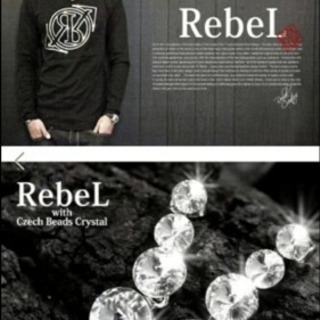 即完売商品RebeLレベル×game別注ロングT
