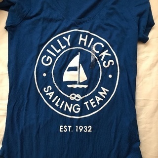 Gilly hicks t-shirts 
