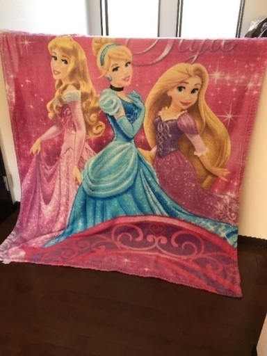 プリンセス 毛布 大判ひざ掛け コストコ購入 りさみん 柏のその他の中古あげます 譲ります ジモティーで不用品の処分