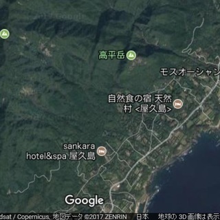 世界遺産　屋久島　高平岳の南側　　バス停から徒歩15分　天然村さんから歩いて5分　　500平米土地