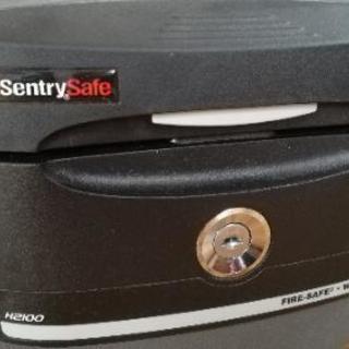 SecuritySafe H2100 さらにさらに値下げしました！