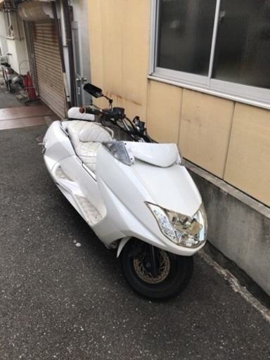 マグザム  白
