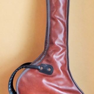 フェルナンデス Fernandes limited edition ベースギター◆バンド好きにはたまらない