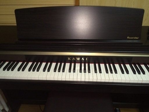 Kawai ca17(2017年7月購入) | noonanwaste.com