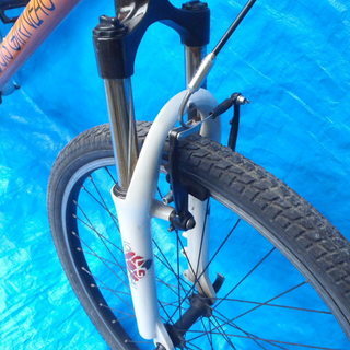 終了　ルイガノのマウンテンバイク　中古自転車　124