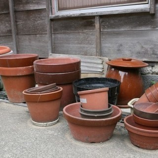 いらない植木鉢など頂けませんか!