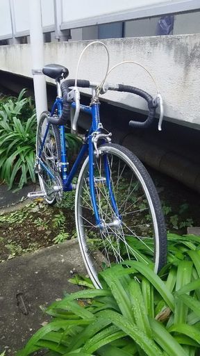 昭和のランドナーNo.1 追記を読んでください。 - ロードバイク 