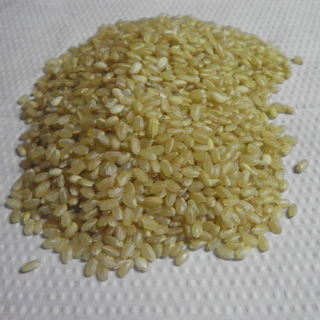 平成２５年度　玄米（古米）30㎏（１袋）　山口県産ヒノヒカリ
