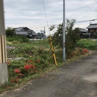 滋賀県の田舎の畑貸します。‼️値下げ！ - 東近江市