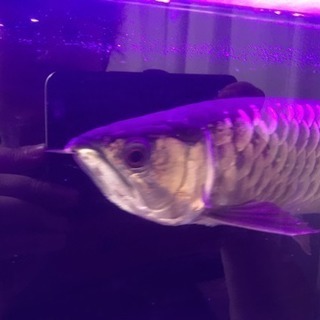 今週引き取り限定で5000円引きます！