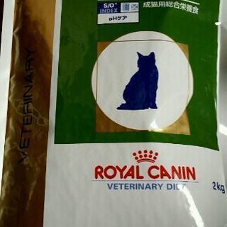 猫用　ロイヤルカナン