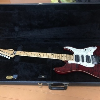 【売/急募】SCHECTER EX-V-24-CTM