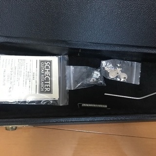 【売/急募】SCHECTER EX-V-24-CTM