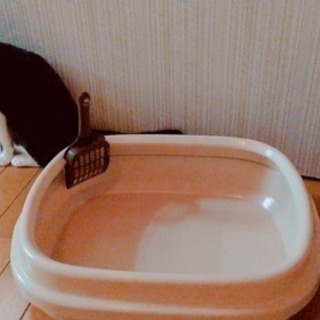 猫 トイレ【2個あります】