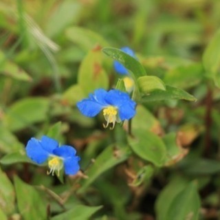 10月1日 暇な方おられますか？写真撮影