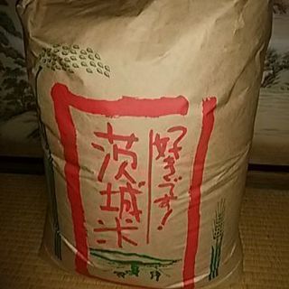 新米コシヒカリ玄米30キロ