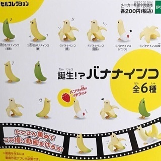 バナナインコ🍌🐥