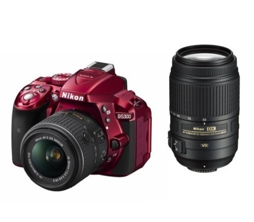 【美品】Nikon D5300   DZK2  \u0026 OPTEKA魚眼レンズ