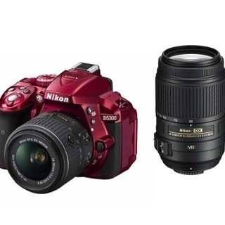 【美品】Nikon D5300   DZK2  & OPTEKA...
