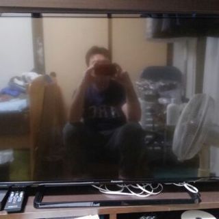 パナソニック　液晶テレビ　TH-43D300