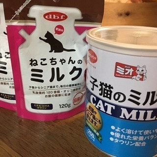 無料：子猫用　ミルク　2種類