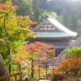 鎌倉お散歩会~鎌倉路地の紅葉を探しに~ 6名限定・参加費無料