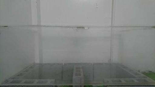 【至急】〘 特注〙中古アクリル水槽