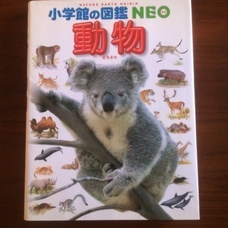 小学館の図鑑NEO 動物