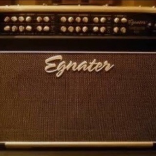 Egnater Tourmaster 4212 ギターアンプ