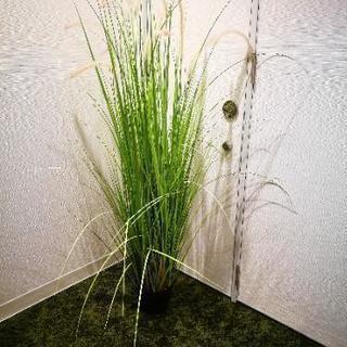 【終了】造花、観葉植物（すすきっぽいやつ）