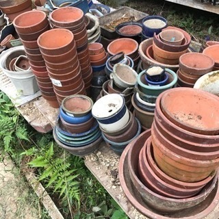 陶器 植木鉢